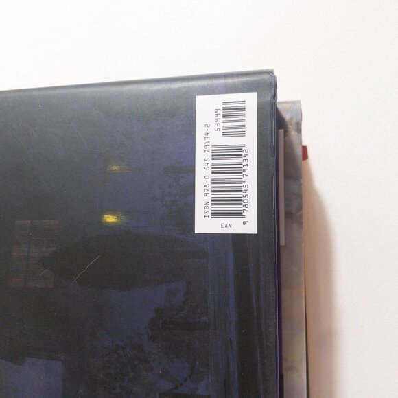 Harry Potter Books 1-3 Illustrated First Editions Jim Kay Bundle - Picture 12 of 14